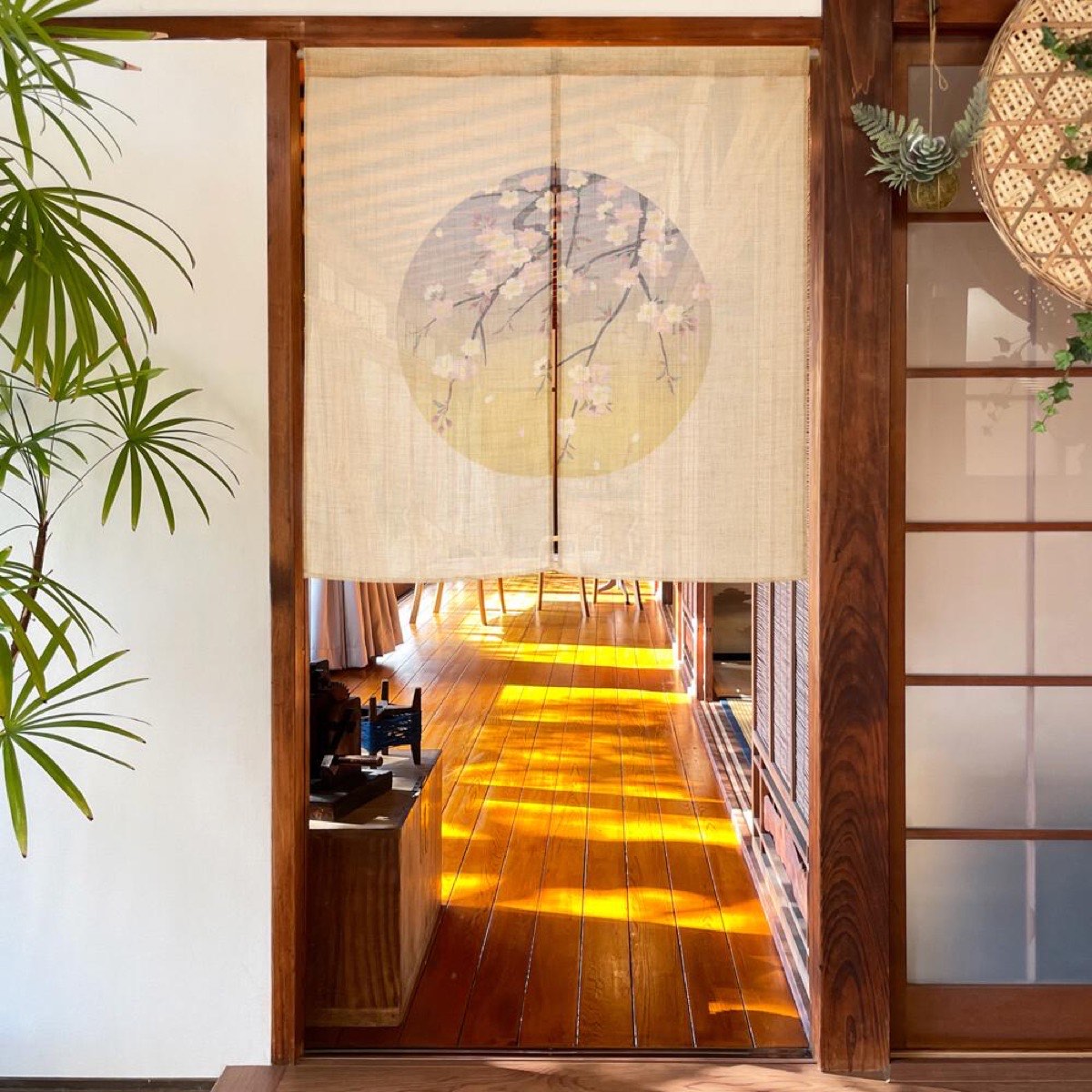 Japanese Noren Door Curtain, Round Window Sakura, 33.5 x 35.4 in, Made in Japan